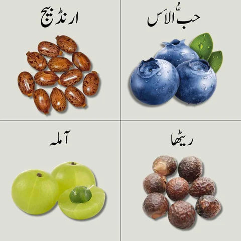 Traditional hair care herbs: castor seeds, blueberries, amla, and reetha.