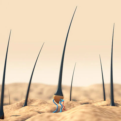 3D illustration showing healthy hair follicle stimulation and growth from the scalp.