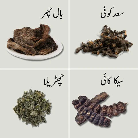 Organic hair oil roots and extracts: Balchar, Saad Kufi, Chharila, and Shikakai.